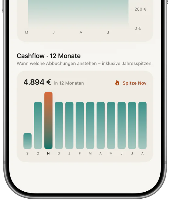 Cashflow der nächsten 12 Monate in Subs: insgesamt 4.894 €, mit einer Spitze im November.