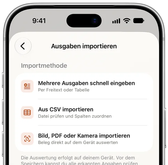 Die Importoptionen in Subs: mehrere Ausgaben als Freitext oder Tabelle, eine CSV-Datei oder ein Bild, PDF oder Kamerascan.